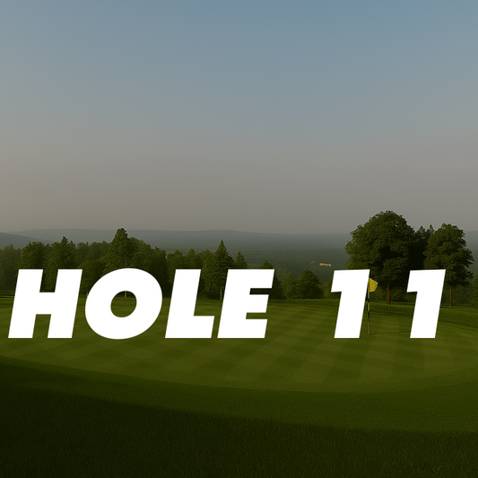 11th Hole – 166 Yards, Par 3 (Carsons)