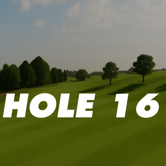 16th Hole – 508 Yards, Par 5 (Springhill)