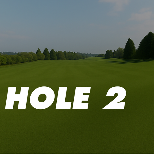 2nd Hole – 355 Yards, Par 4 (Blackthorn)
